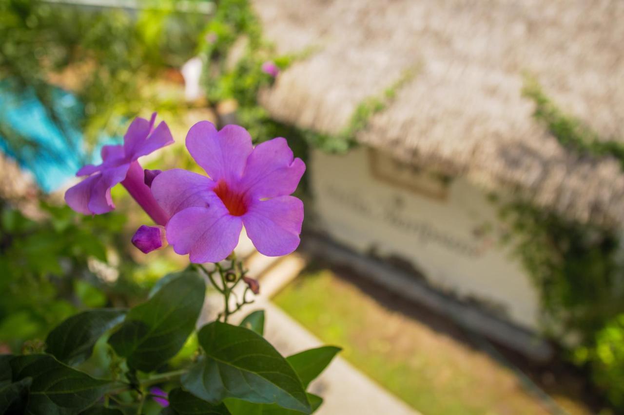 Hotel Villas Mariposas Atlixco Exteriér fotografie