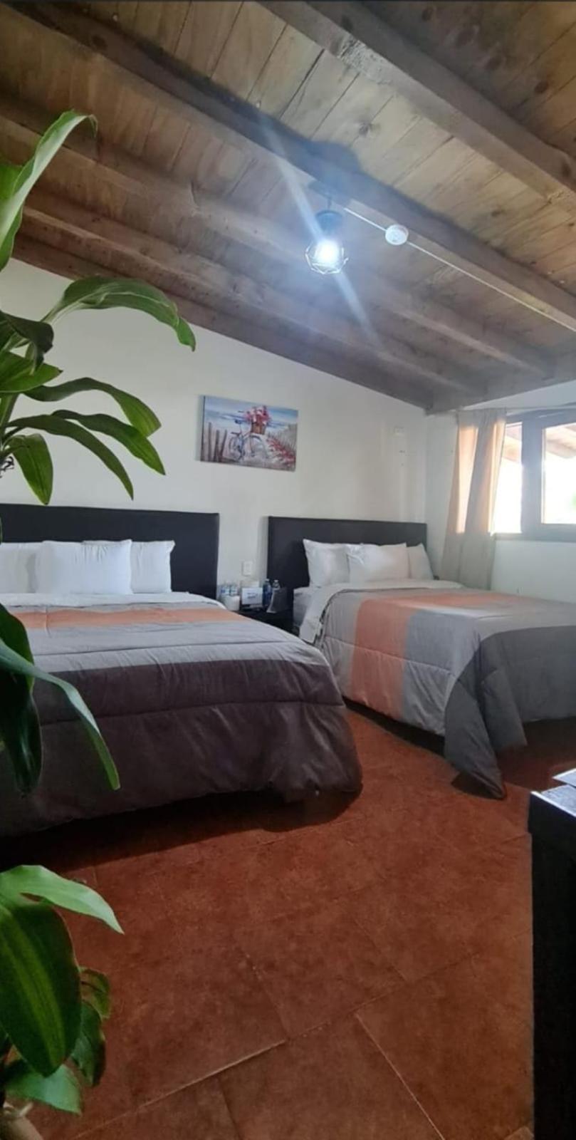 Hotel Villas Mariposas Atlixco Exteriér fotografie